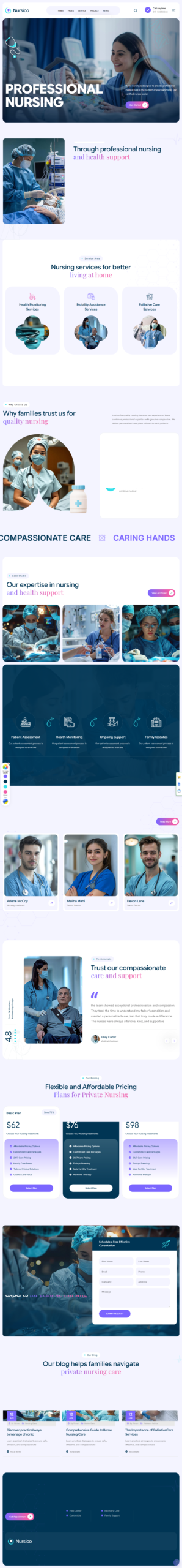 Nurses website design preview
