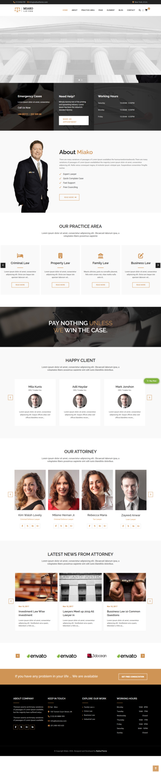 Law website services design preview